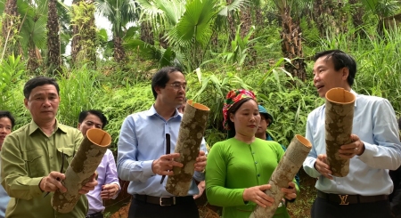 Ban Chỉ đạo phát triển sản xuất nông nghiệp hàng hóa tỉnh Lào Cai tổ chức phát động Ngày hội sản xuất quế hữu cơ năm 2022