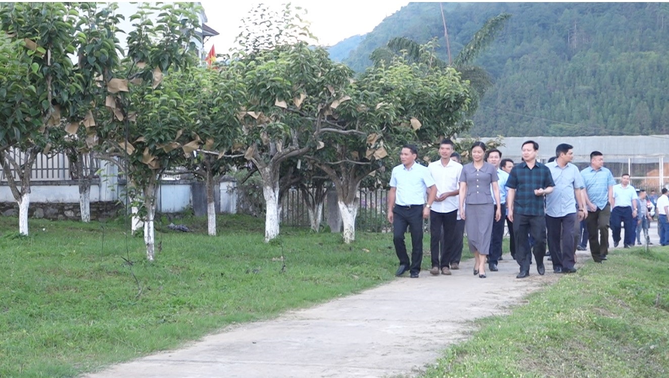 Lãnh đạo hai huyện tham quan Vườn hoa quả tại huyện Bắc Hà