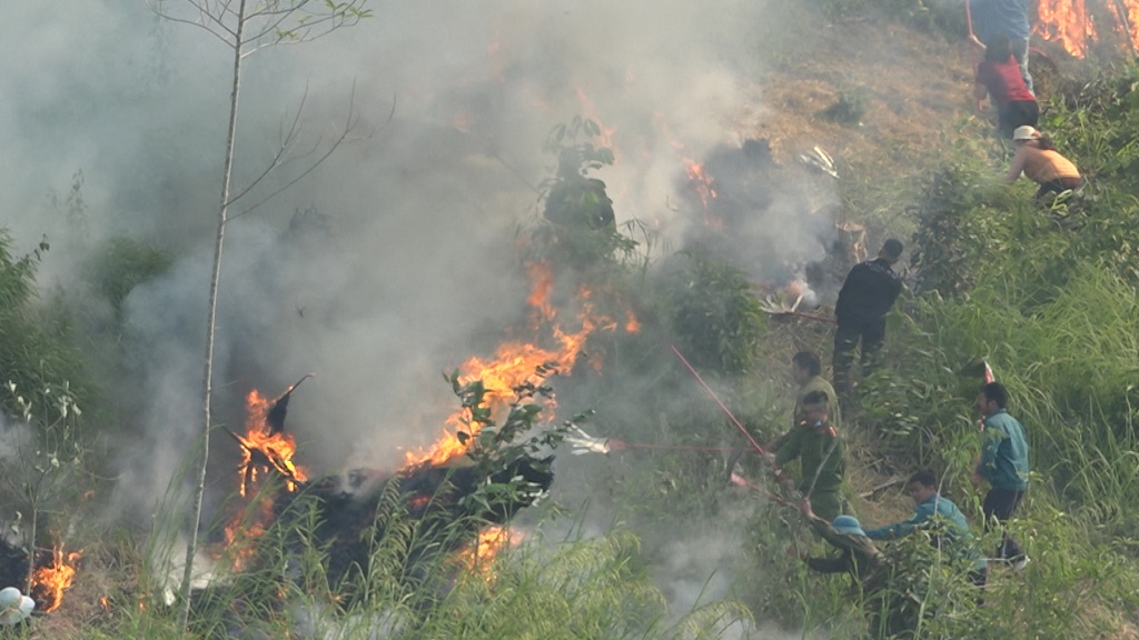 Diễn tập phần thực hành Ứng phó cháy rừng và tìm kiếm cứu nạn