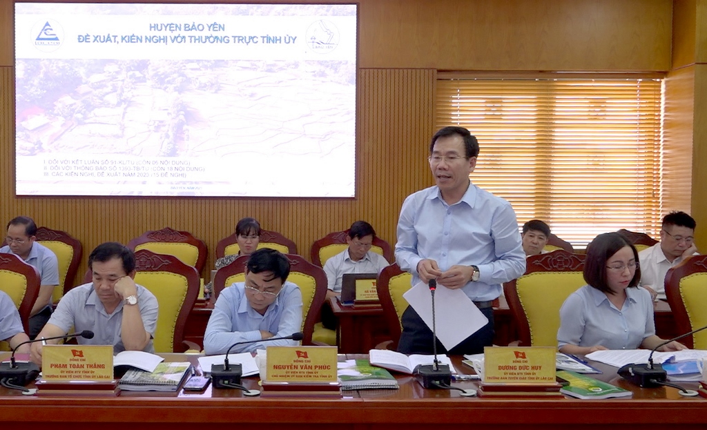 Đồng chí Dương Đức Huy, Trưởng ban Tuyên giáo Tỉnh ủy phát biểu ý kiến