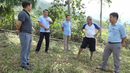 Lan tỏa phong trào hiến đất tại xã Vĩnh Yên