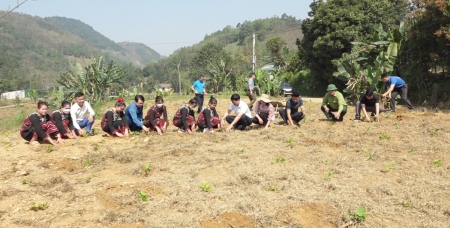 Đại biểu và nhân dân tham gia trồng cây Dâu tại thôn Nhai Thổ 3  xã Kim Sơnjpg