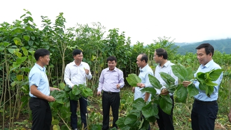 Thường trực Tỉnh uỷ kiểm tra, khảo sát một số dự án trọng điểm và phong trào cùng nhau về thôn tại huyện Bảo Yên và trực tiếp tham gia các hoạt động cùng bà con Nhân dân