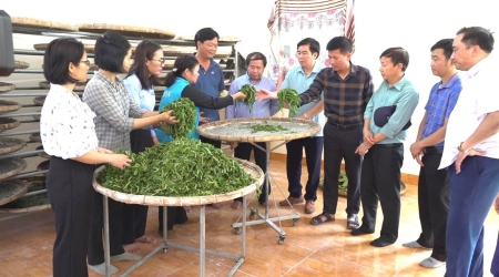 Mô hình trồng dâu nuôi tằm giúp nông dân thoát nghèo tại xã Kim Sơn