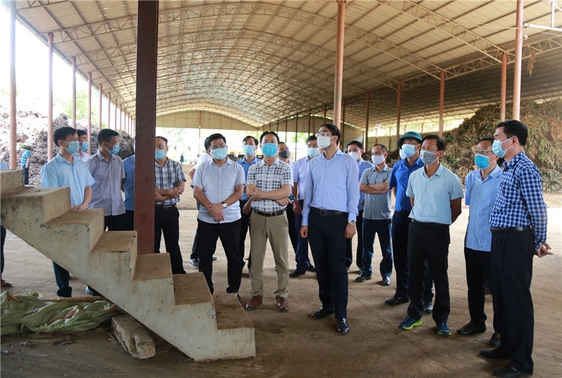 Chủ tịch UBND tỉnh Trịnh Xuân Trường thăm Nhà máy chết xuất tinh dầu quế, xã tại xã Vĩnh Yên