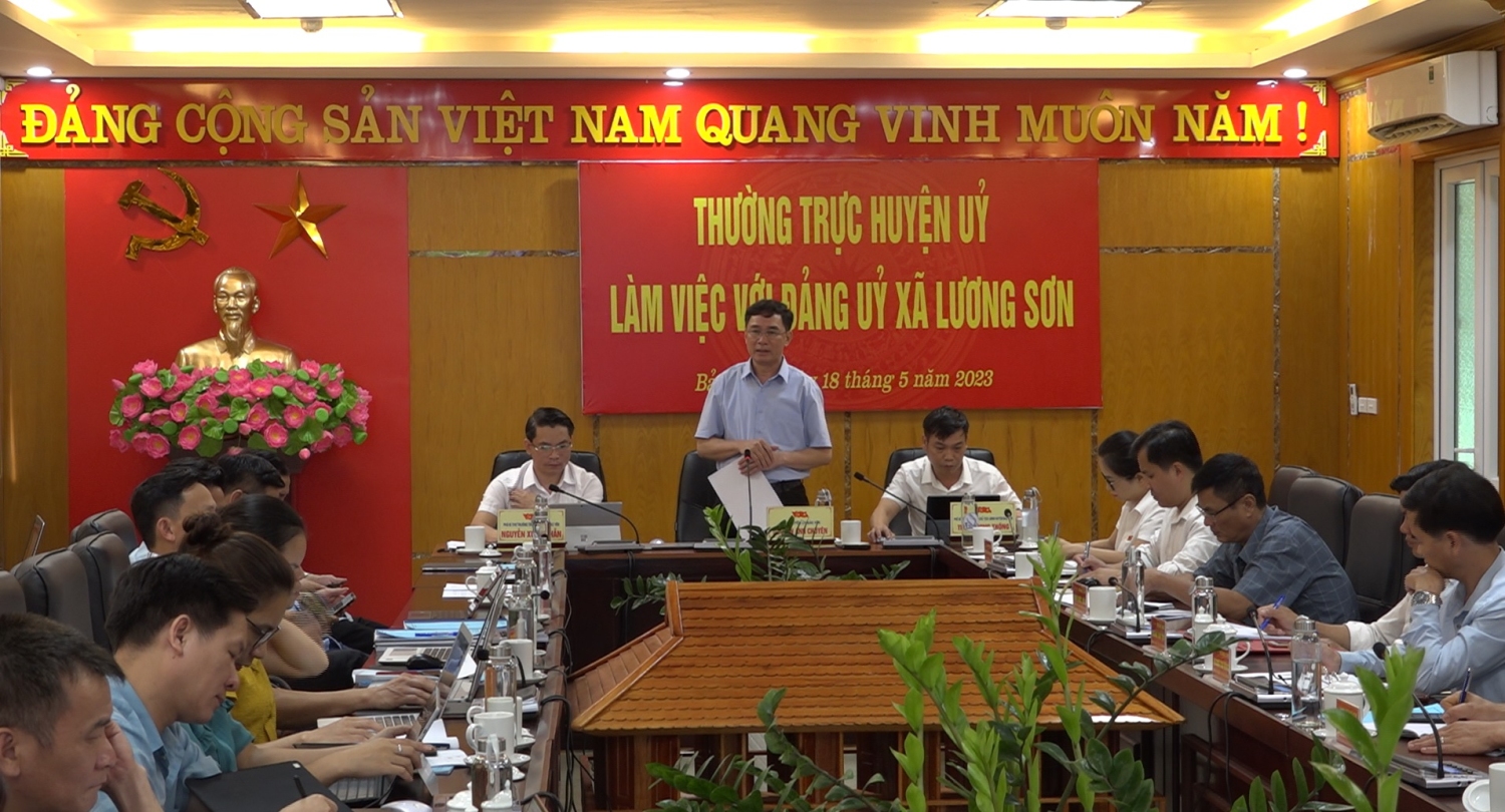 Đồng chí Nguyễn Anh Chuyên, Ủy viên BCH Đảng bộ Tỉnh, Bí thư Huyện ủy, Chủ tịch HĐND huyện phát biểu kết luận buổi làm việc
