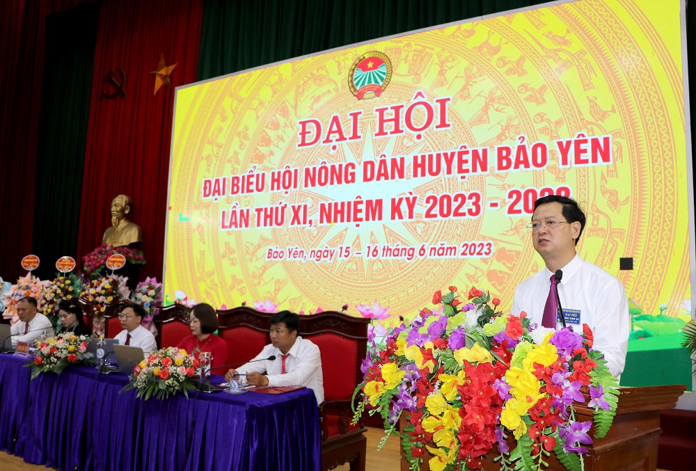 Đồng chí Bùi Quang Hưng, Tỉnh ủy viên, Chủ tịch Hội Nông dân tỉnh phát biểu tại Đại hội