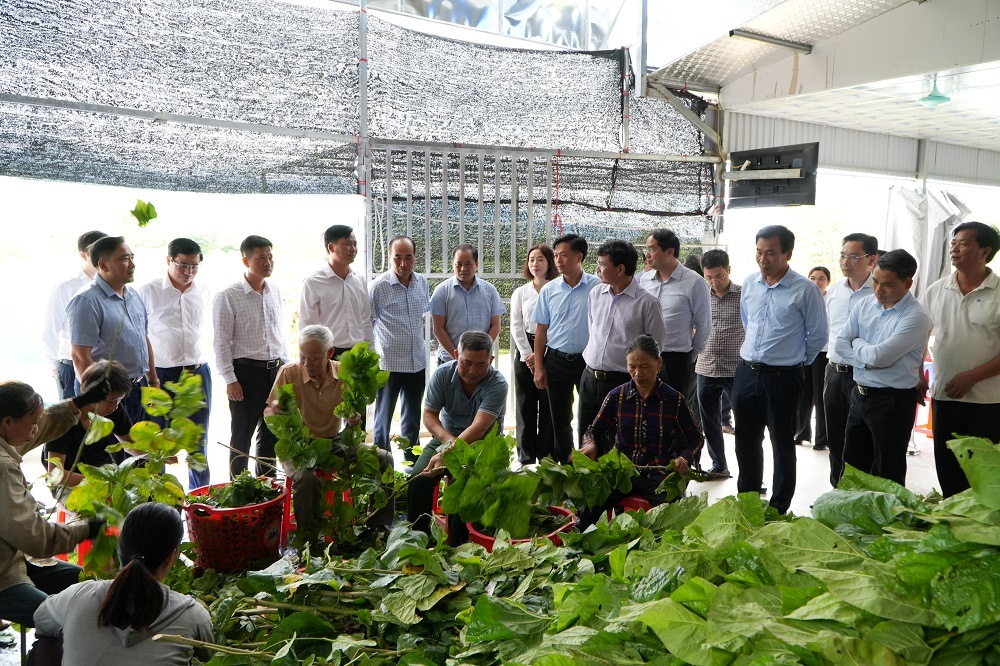 Bí thư Tỉnh ủy Đặng Xuân Phong cùng đoàn công tác thăm mô hình trồng dâu nuôi tằm của Hợp tác dịch vụ Hoàng Hà tại thôn Tân Văn, xã Kim Sơn (2)