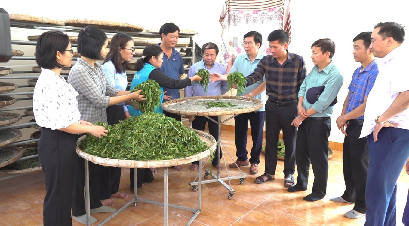 Cơ sở ươm tằm của gia đình ông Trần Quốc Đoàn  thôn Tân Văn 1  xã Kim Sơn